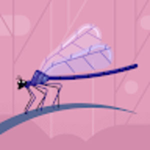 Meet your Posher, Bobbie